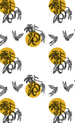 Blackout roller blind for window Fruits and yellow circles