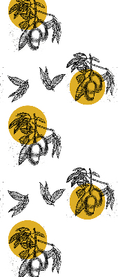 Blackout roller blind for window Fruits and yellow circles