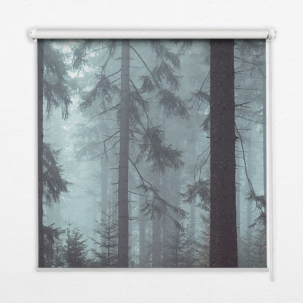 Fabric roller blind for window Forest at night