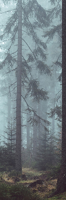 Fabric roller blind for window Forest at night