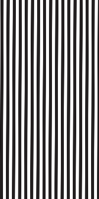 Blackout roller blind for window Black and white stripes