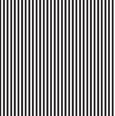 Blackout roller blind for window Black and white stripes