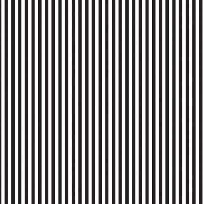 Blackout roller blind for window Black and white stripes
