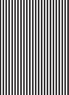 Blackout roller blind for window Black and white stripes