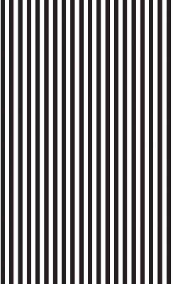 Blackout roller blind for window Black and white stripes