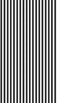 Blackout roller blind for window Black and white stripes