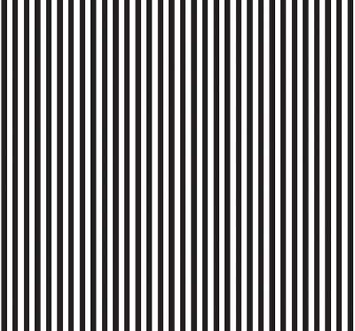 Blackout roller blind for window Black and white stripes