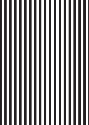 Blackout roller blind for window Black and white stripes