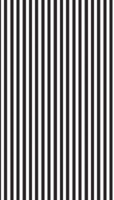 Blackout roller blind for window Black and white stripes