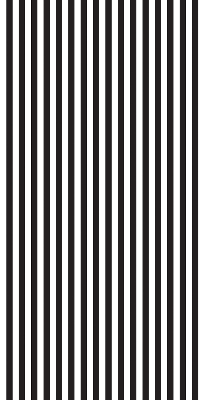 Blackout roller blind for window Black and white stripes