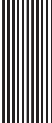 Blackout roller blind for window Black and white stripes