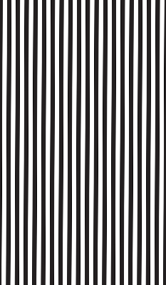 Blackout roller blind for window Black and white stripes