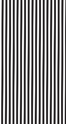 Blackout roller blind for window Black and white stripes