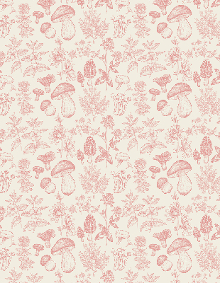 Blackout roller blind for window Drawn mushrooms
