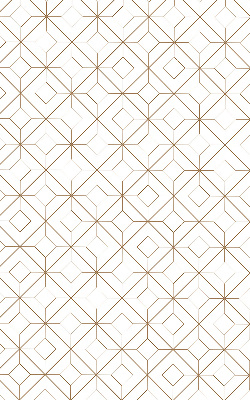 Fabric roller blind for window Brown pattern