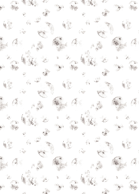 Blackout roller blind Planets