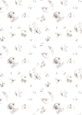 Blackout roller blind Planets