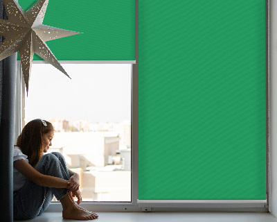 Fabric roller blind for window Green