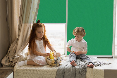 Fabric roller blind for window Green
