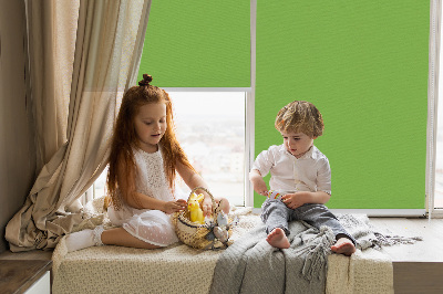 Blackout roller blind for window Green