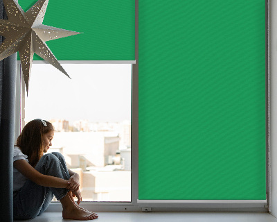 Fabric roller blind for window Green