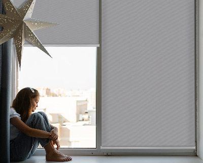 Blackout roller blind for window Gray