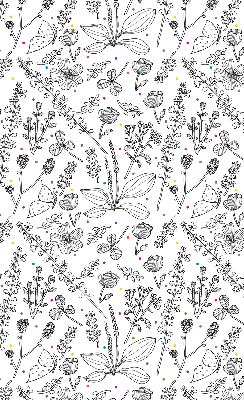 Fabric roller blind for window Drawn plants