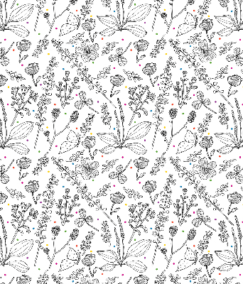Fabric roller blind for window Drawn plants