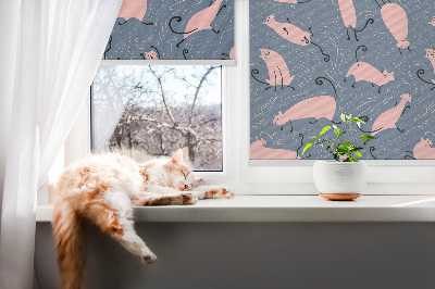 Blackout roller blind for window Pink cats