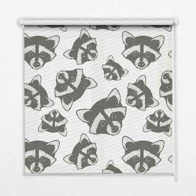 Blackout roller blind for window Drawn raccoons