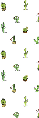 Fabric roller blind for window Cacti