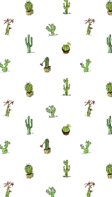 Fabric roller blind for window Cacti