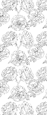 Blackout roller blind for window Drawn roses