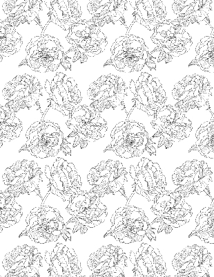 Blackout roller blind for window Drawn roses