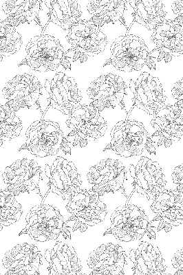 Blackout roller blind for window Drawn roses