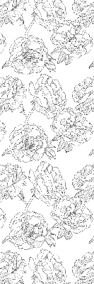 Blackout roller blind for window Drawn roses
