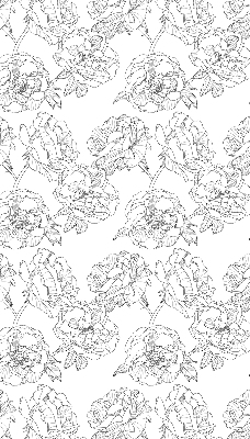 Blackout roller blind for window Drawn roses