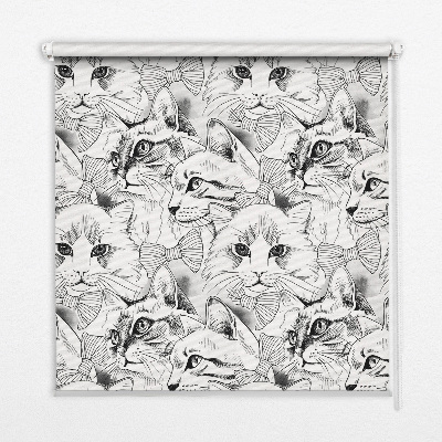 Fabric roller blind for window Drawn cats