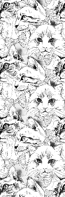 Fabric roller blind for window Drawn cats