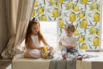 Fabric roller blind for window Lemons