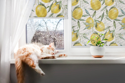 Fabric roller blind for window Lemons