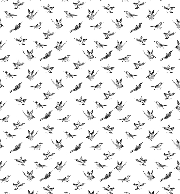 Blackout roller blind for window Birds