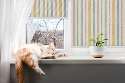 Blackout roller blind for window Colorful vertical stripes