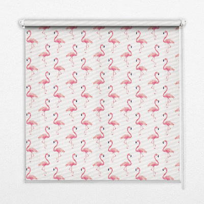 Blackout roller blind for window Flamingos