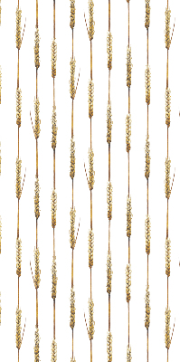 Blackout roller blind Cereal