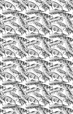 Blackout roller blind Fern leaves