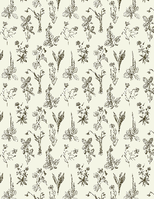 Blackout roller blind for window Drawn flowers