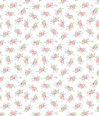 Fabric roller blind for window Roses