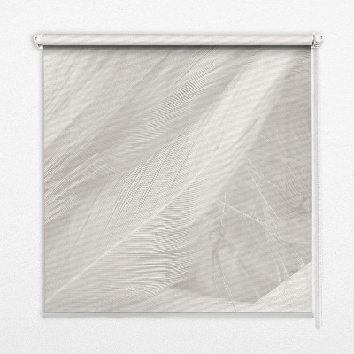 Blackout roller blind for window feathers