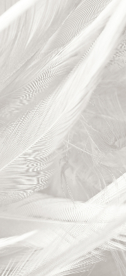 Blackout roller blind for window feathers